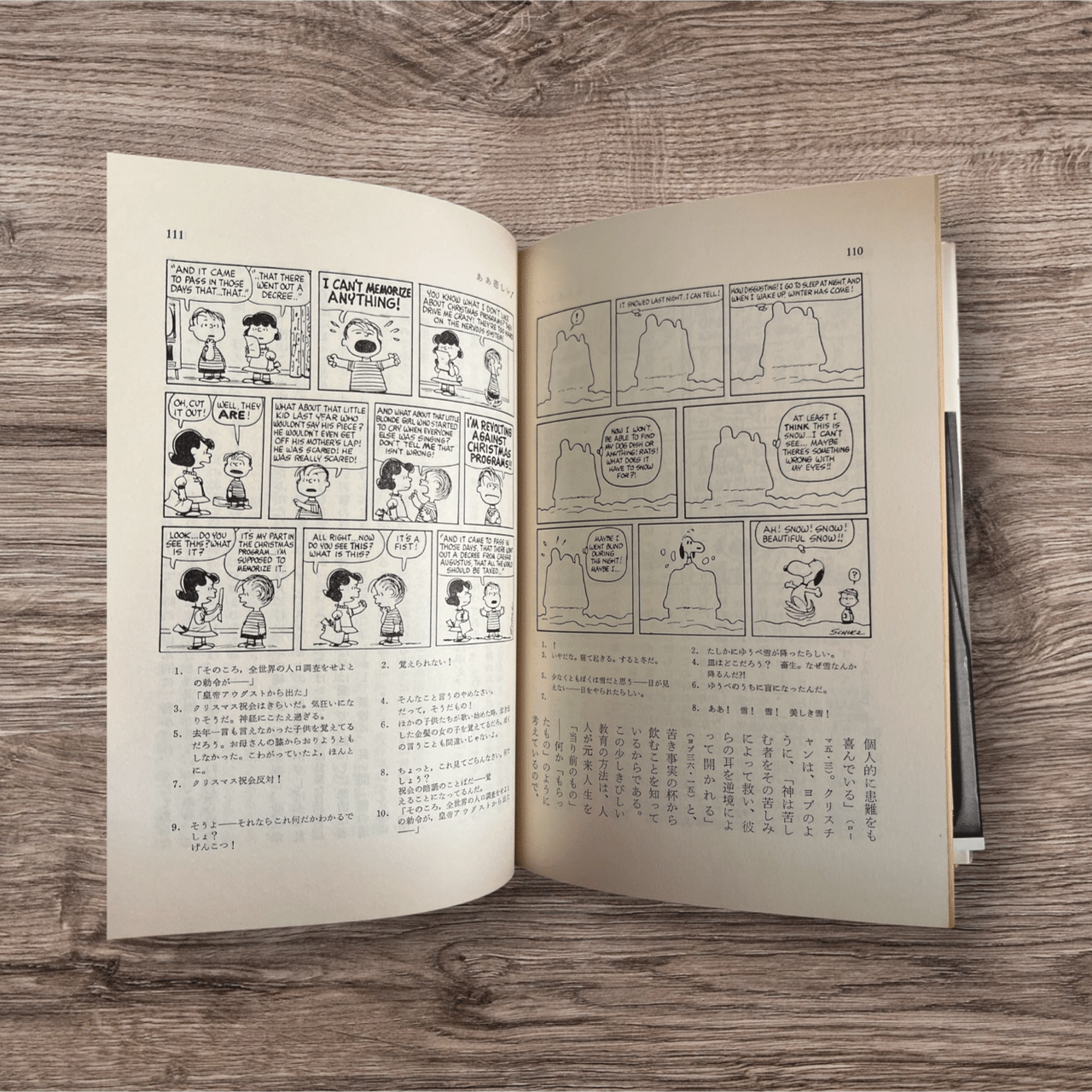 日本で最初に出版されたスヌーピーの本とは❓｜池ちゃん