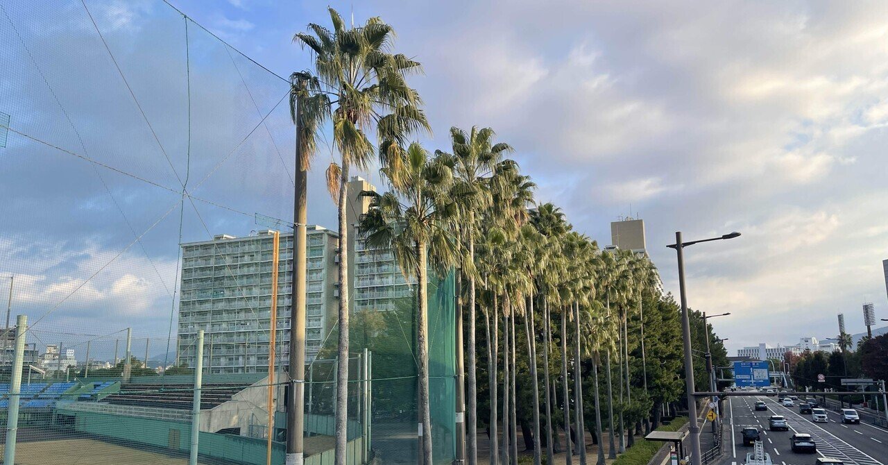 鹿児島の推しポイント】#02ヤシの木📸｜鹿児島大好きっ子