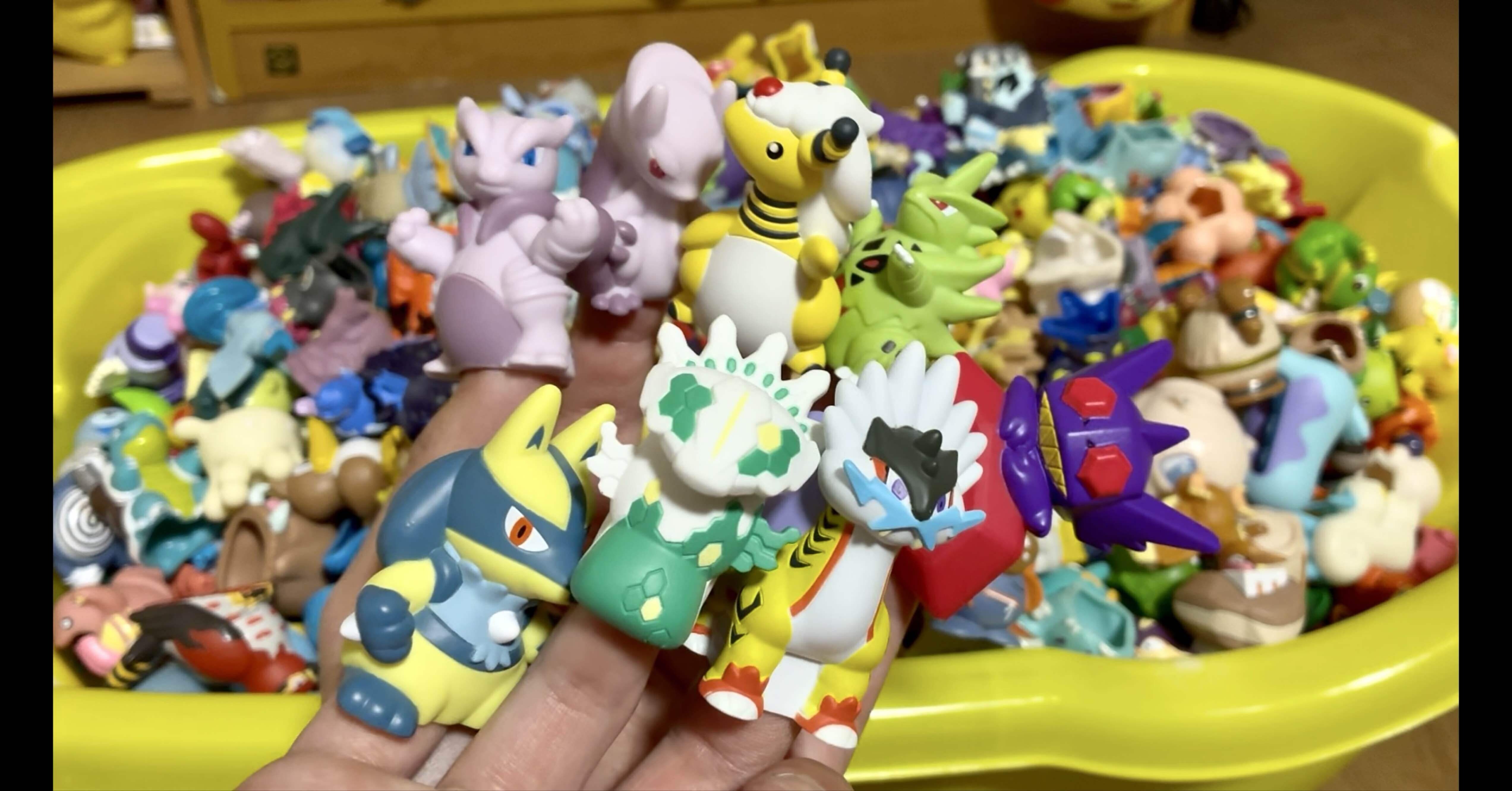 新弾ポケモンキッズを紹介します｜オトナ水族館