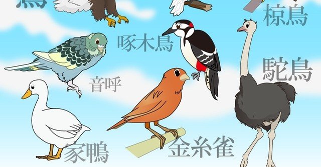 c33484f2b857cd7f090096b5a40efe