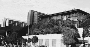 原文で追う、高市政権ウォッチング 「高市早苗のぶっとび永田町日記