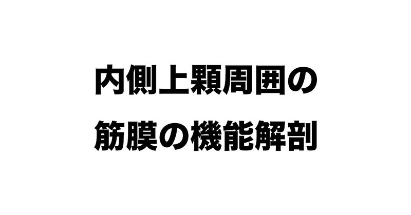 内側上顆機能解剖