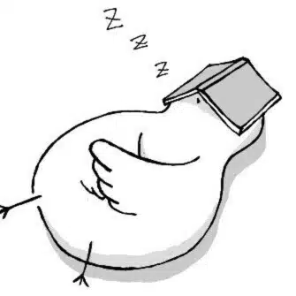雷鳥社
