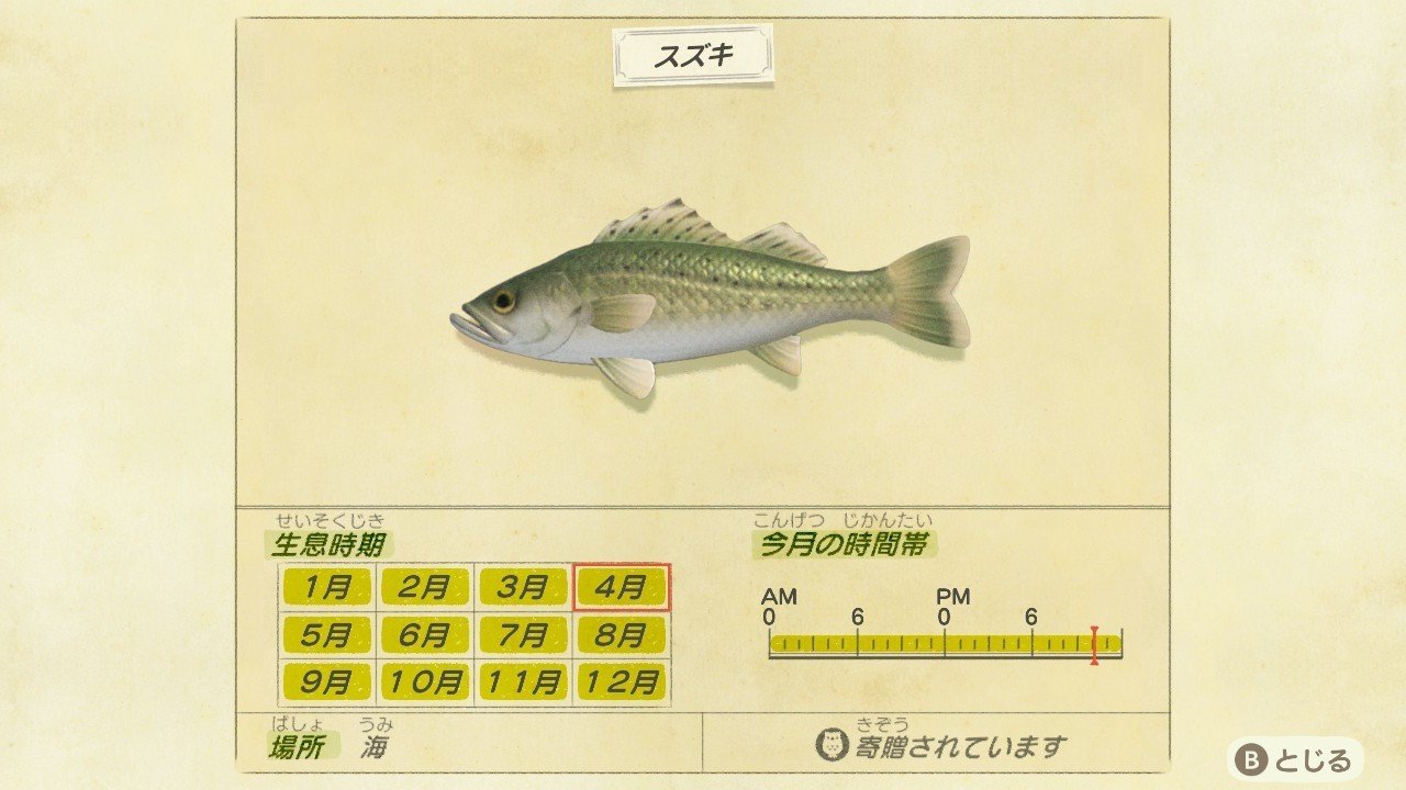 あつ森から学ぶ生物の話 もう私 スズキ を釣って肩を落とせません が またお前か 緑木リョク Note