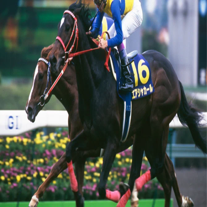 エアシャカール三冠にもっとも近づいた二冠馬｜かず