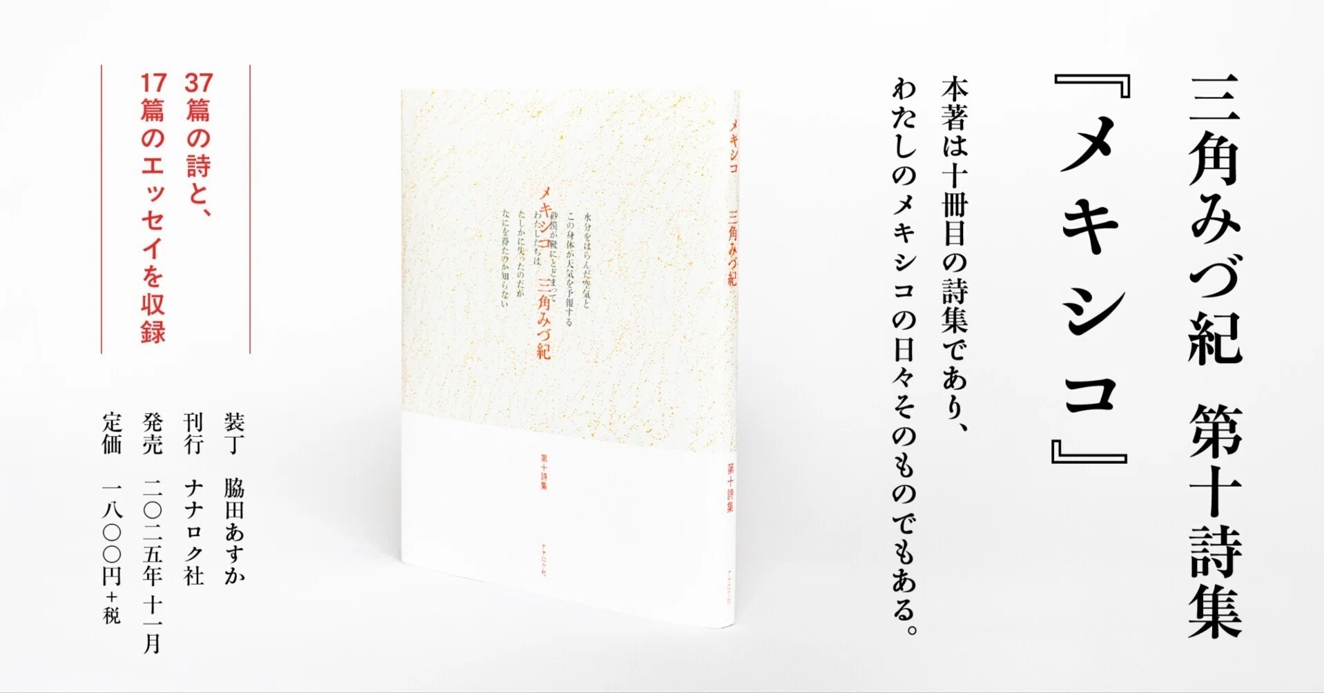 メキシコ詩集 三角みづ紀さんの『メキシコ』はここにある。｜ナナロク社