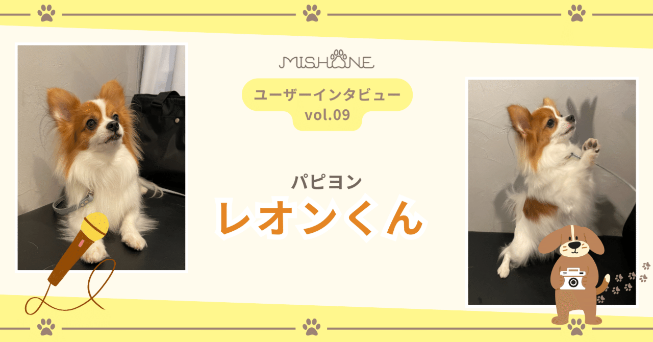 インタビュー記事vol.9】 パピヨン「レオンくん」｜【公式】株式会社