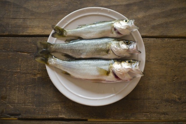 あつ森から学ぶ生物の話 もう私 スズキ を釣って肩を落とせません が またお前か 緑木リョク Note