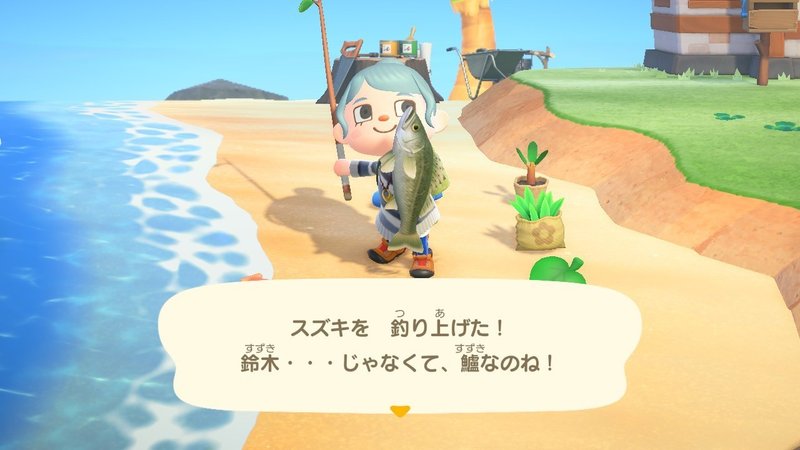 あつ森から学ぶ生物の話 もう私 スズキ を釣って肩を落とせません が またお前か 緑木リョク Note