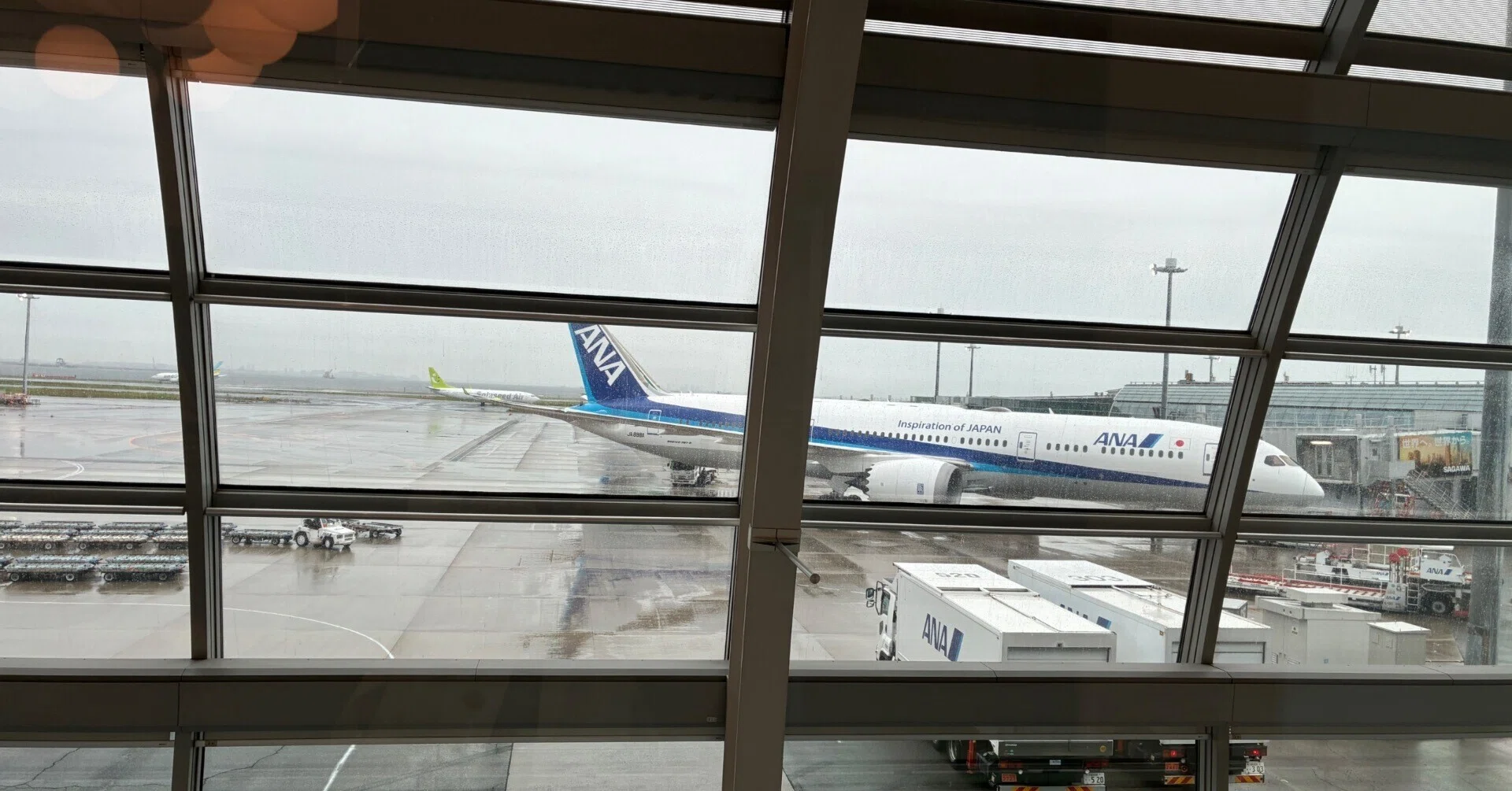 SFC修行7回目 宮古島旅行で終了!|traveler2025 SFC修行7回目 宮古島旅行で終了!|traveler2025