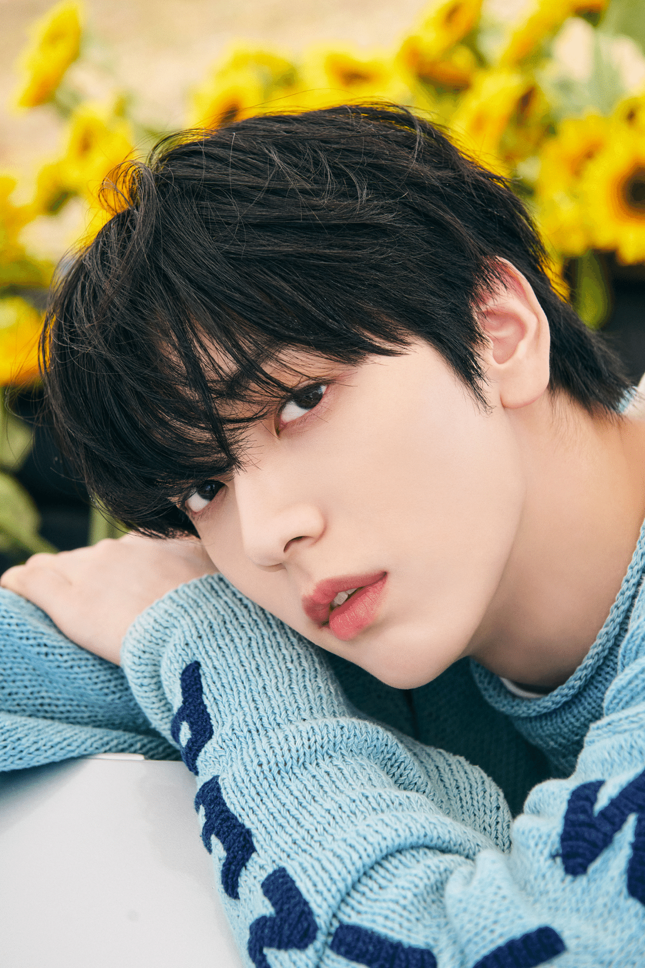 HAPPY SOOBIN DAY】【歌声分析】私たちの森であり海、還る場所。｜沼の