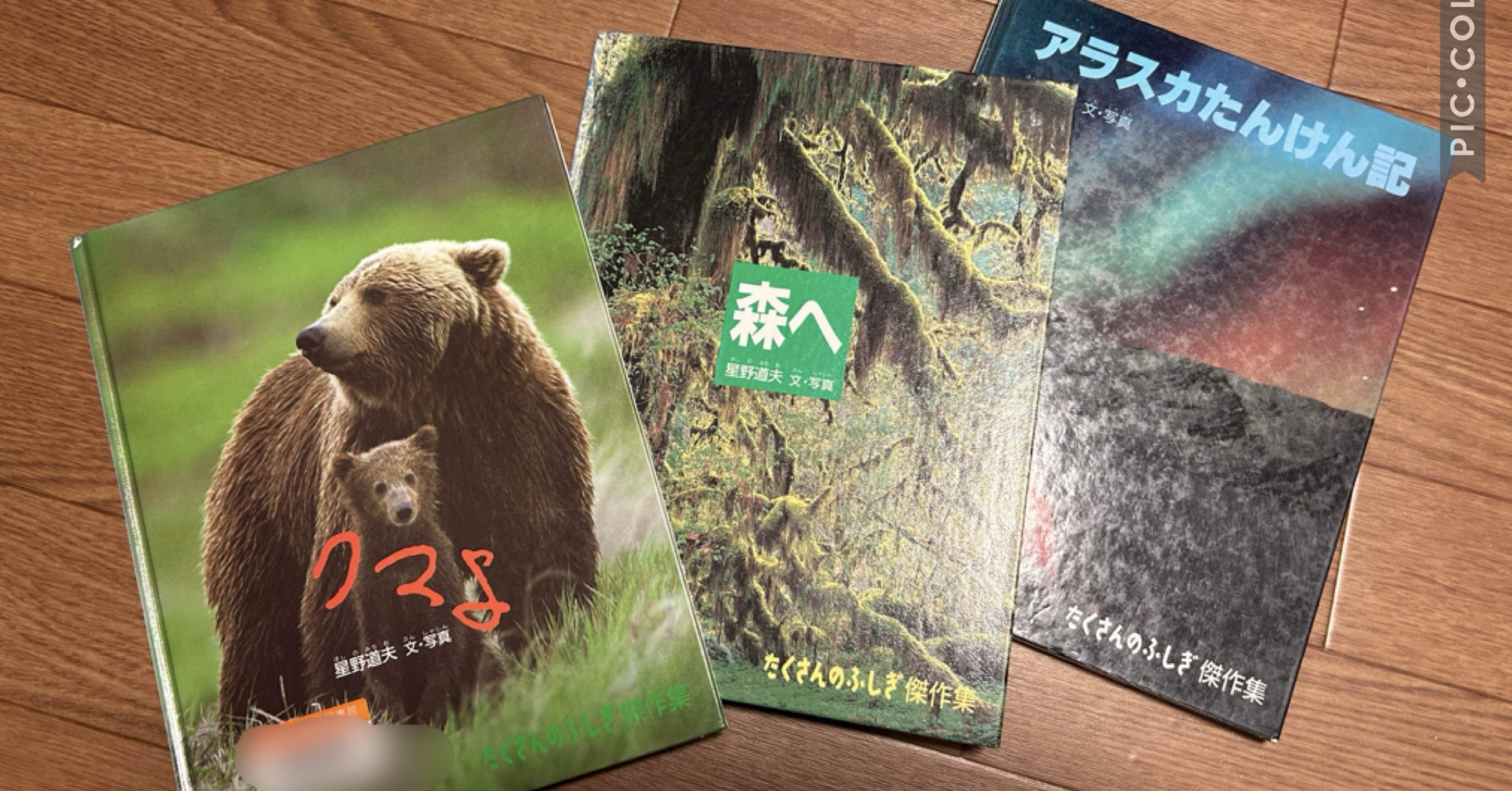 クマを夢見た少年、アラスカへ行く…写真家・星野道夫さんを想う｜つむりん