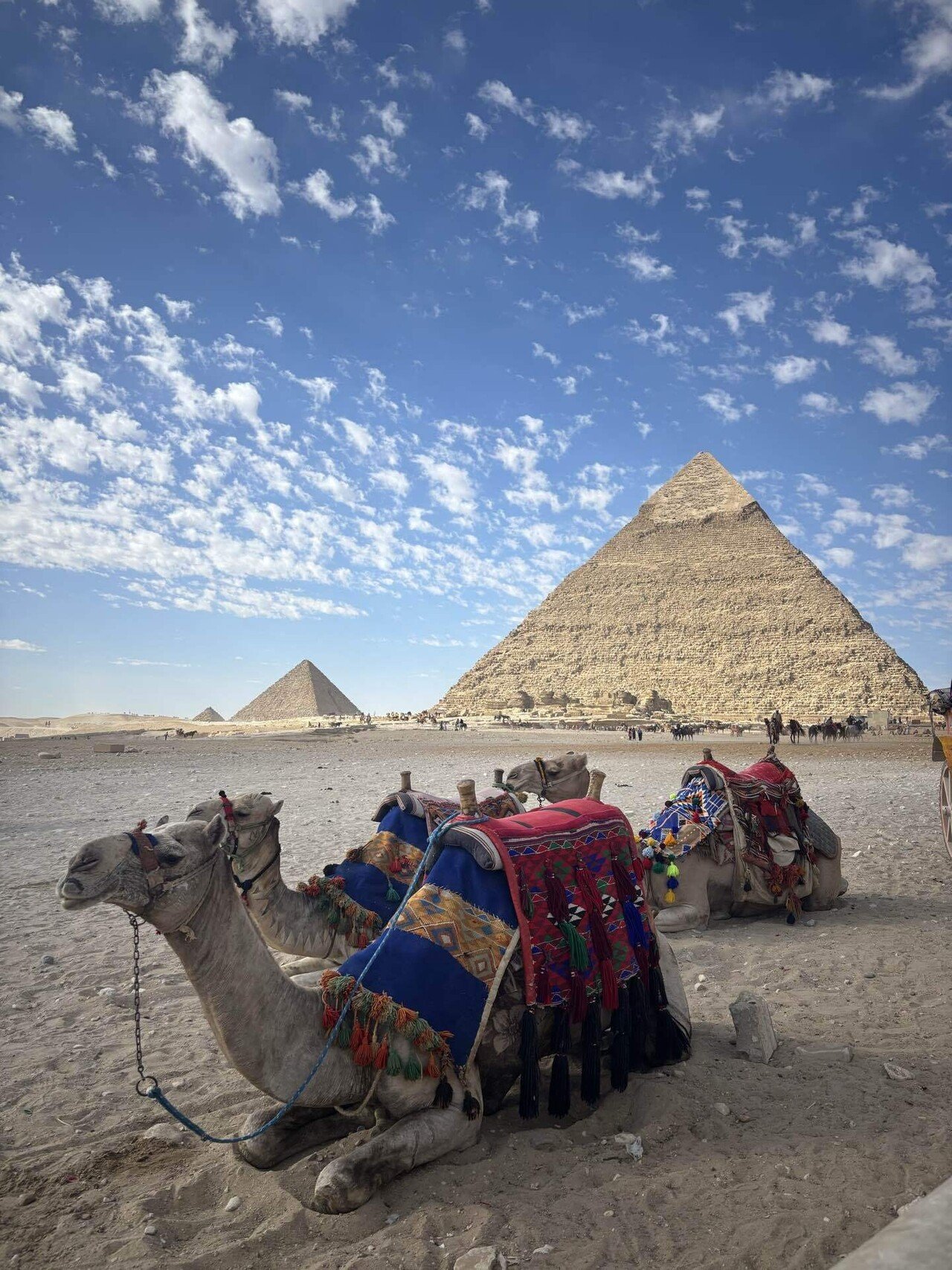 世界一周day270🇪🇬]ピラミッドでかいです｜よしだ家@夫婦で世界一周