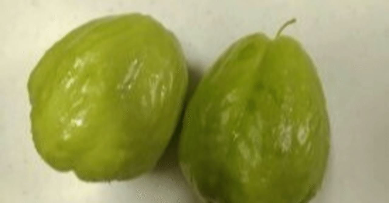 田舎暮らし】ハヤトウリの誤算｜谺☆山里に移住した歌人