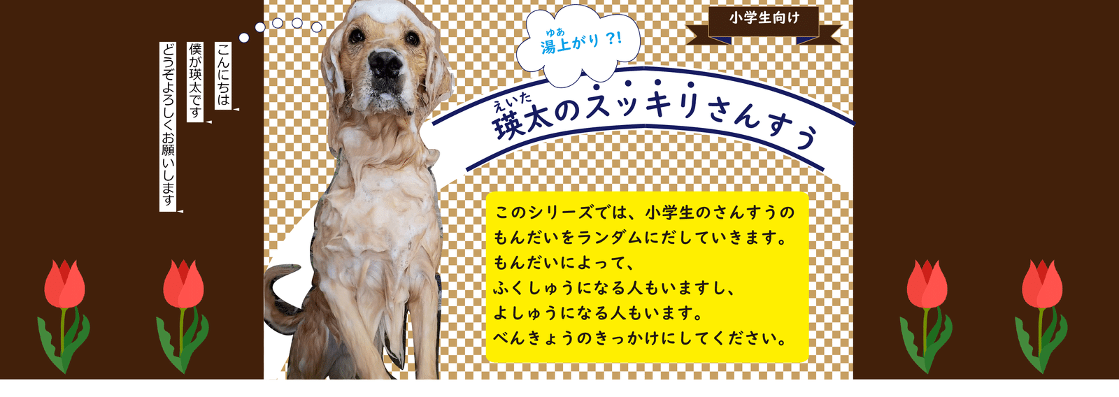 お家でできる学校の勉強シリーズ