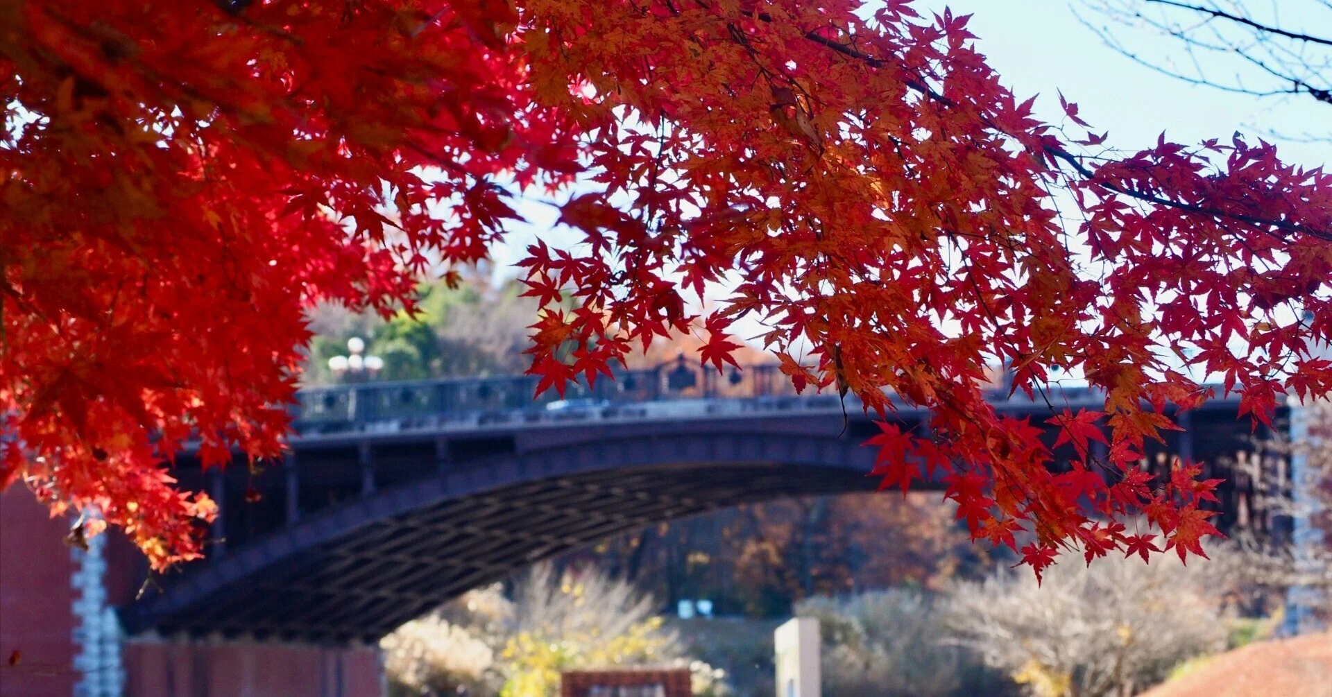長池 公園