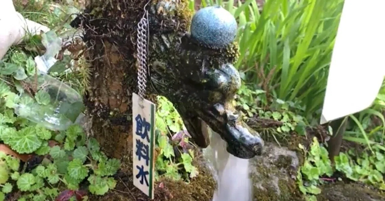 龍の吐く水が呼んでいる！徳島「龍王水」の神秘に触れる旅（吉野川市 
