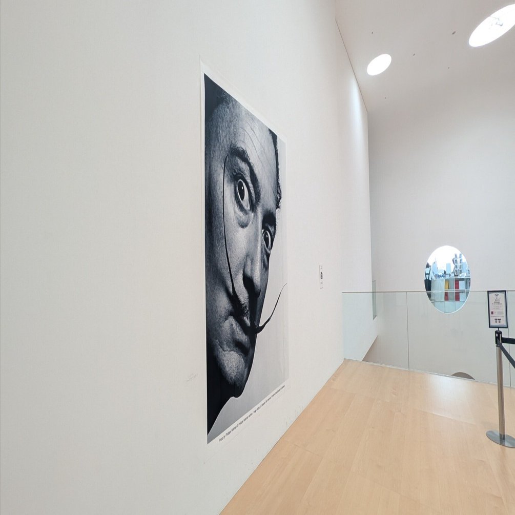 生誕120周年 サルバドール・ダリ―天才の秘密―』@横須賀美術館(2025年3