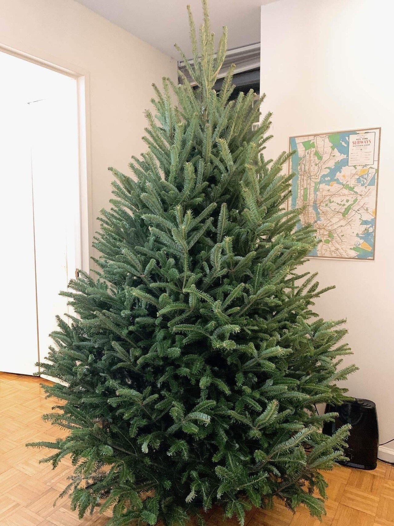 NY Bucket List] 生のモミの木のクリスマスツリーを飾る｜🍎🧸KUMI's