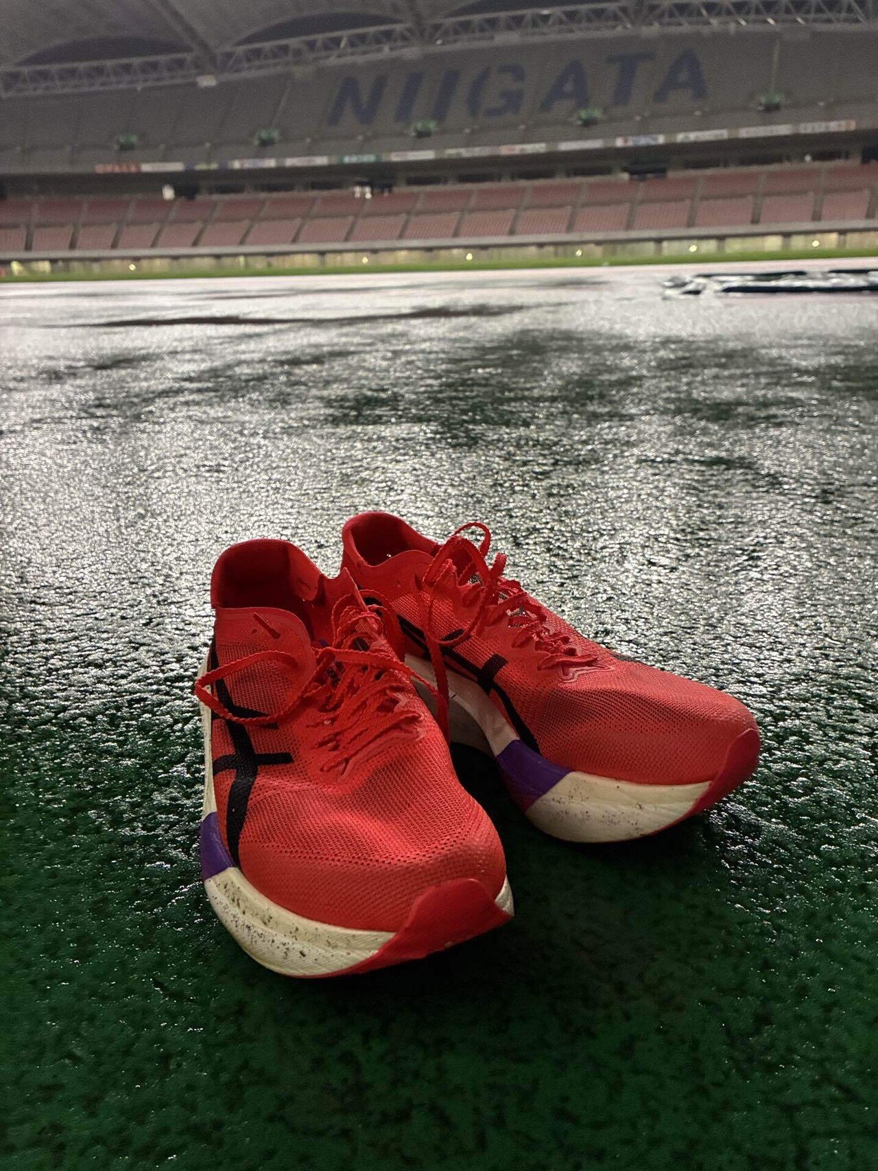 🌶️ 【辛口レビュー】アシックス「マジックスピード 5」はメタ