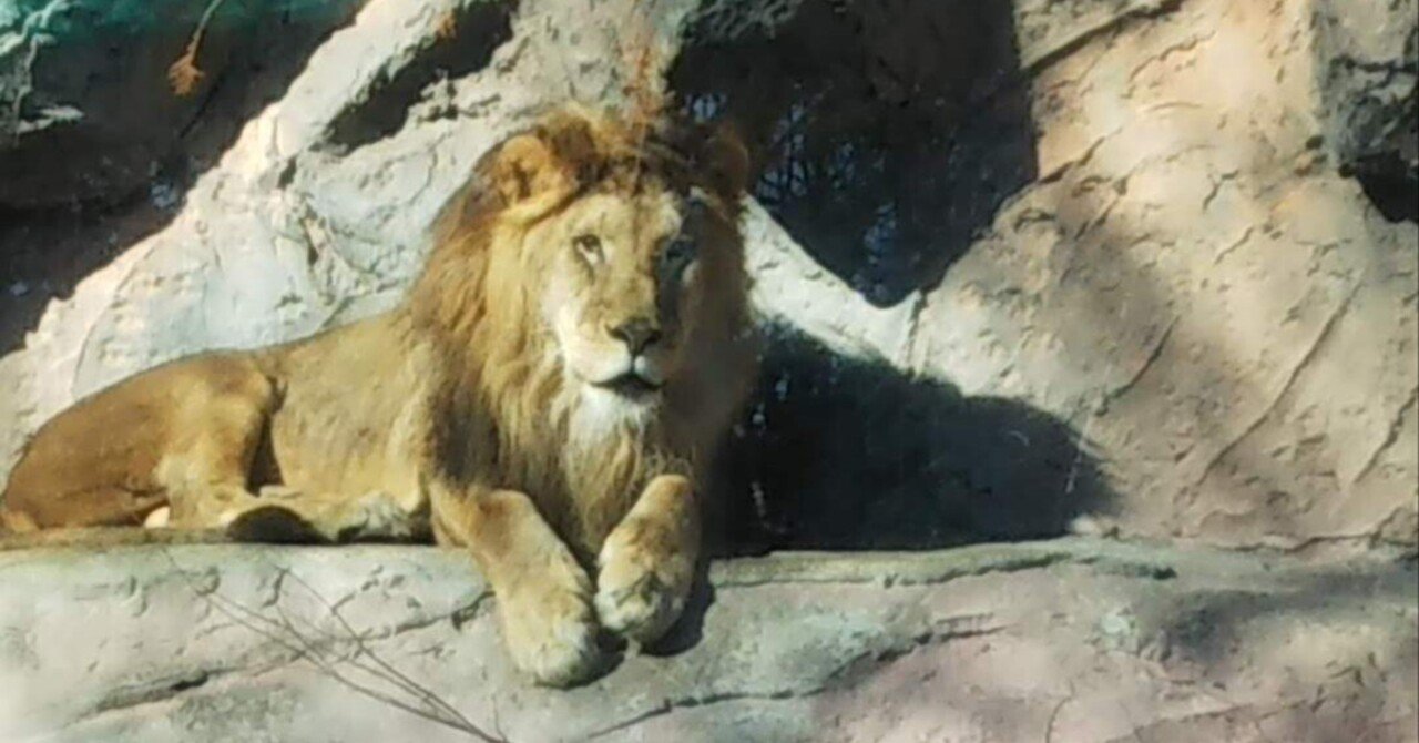 日本橋のライオン（超短編小説）｜藤川 哲之介