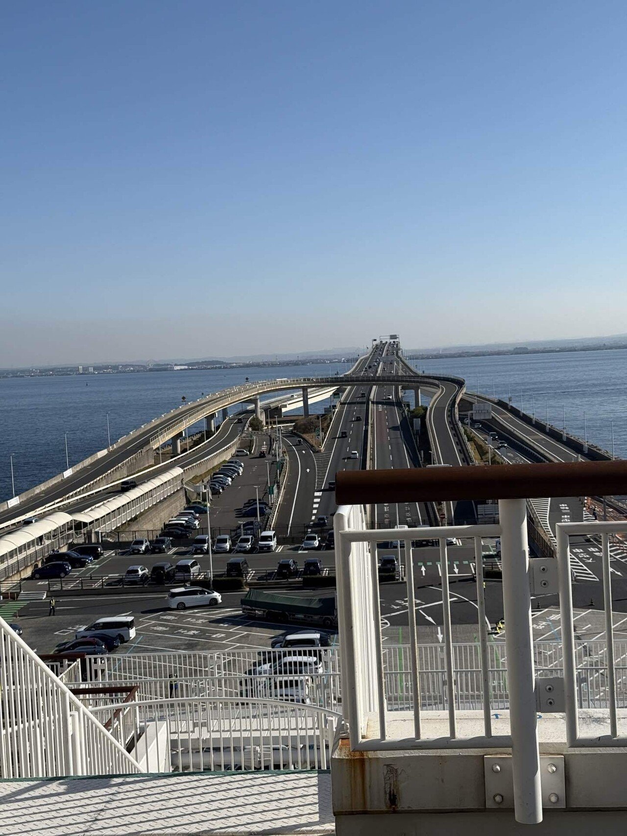 セカンドライフの横浜日記｜ワンズと海ほたる＆ドギーズアイランド