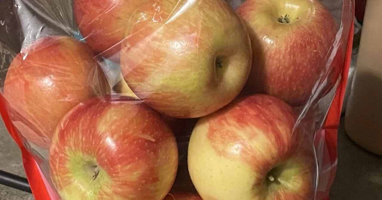 追記】アメリカでりんご食べ比べ〜Honeycrisp〜｜幸織
