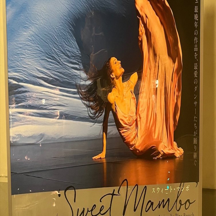 ピナ・バウシュ ヴッパタール舞踊団 を舞台最前列で観た衝撃｜よしもり