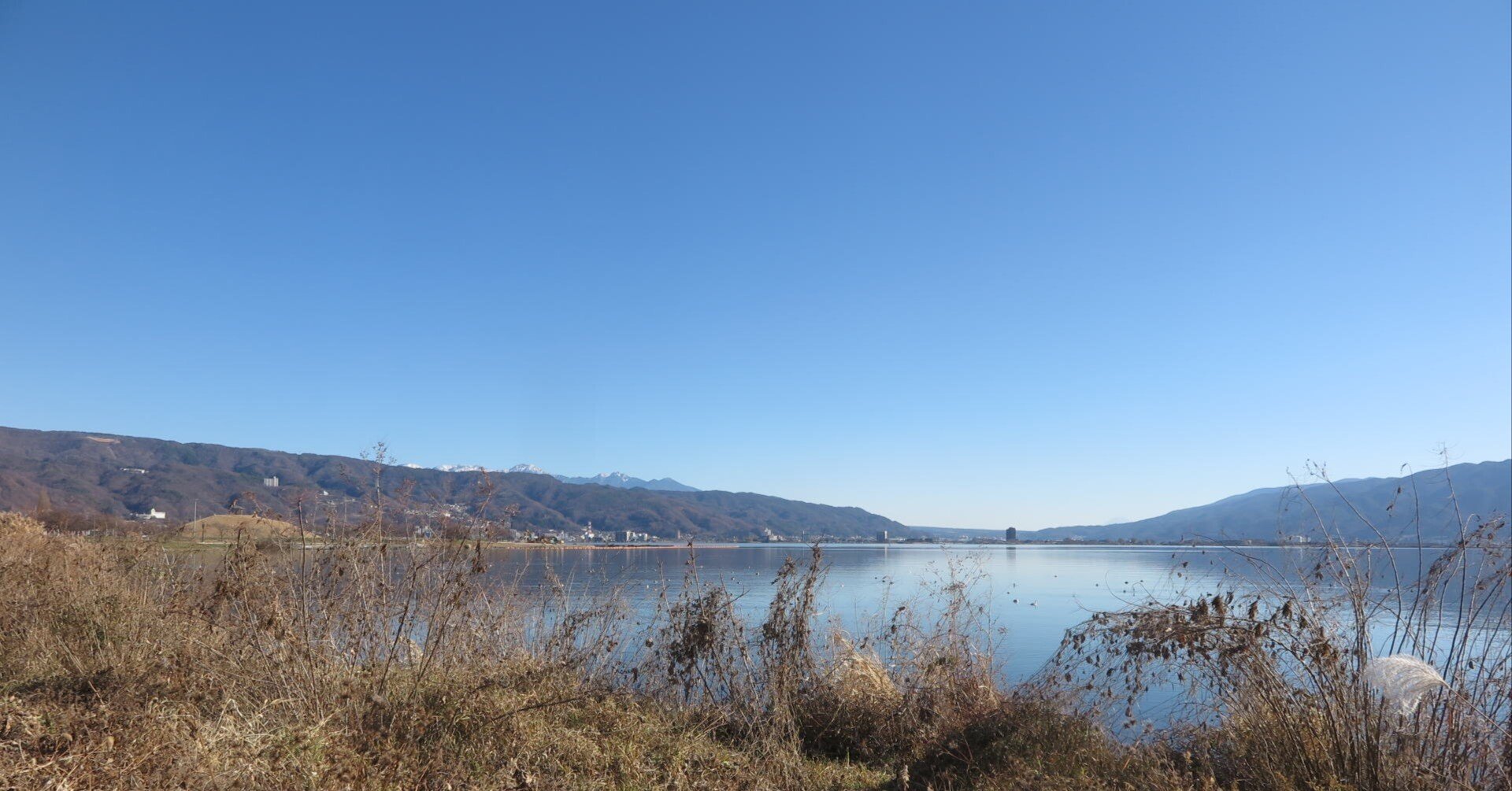 ザ・ロードショウ in 諏訪湖 ｜極楽鳥花植物園