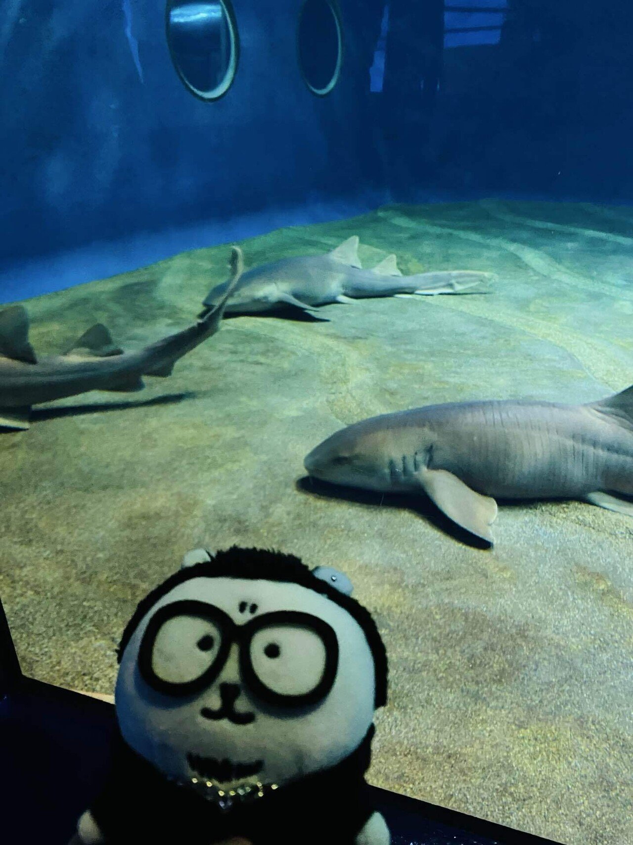 茨城であんこう鍋を食べてきた〜ぬい活付き〜｜岸川珪花【メランコリー