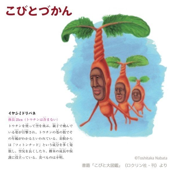 超人気セール こびと図鑑 イヤシミドリバネ 02dc28 世界新記録達成 Cfscr Com