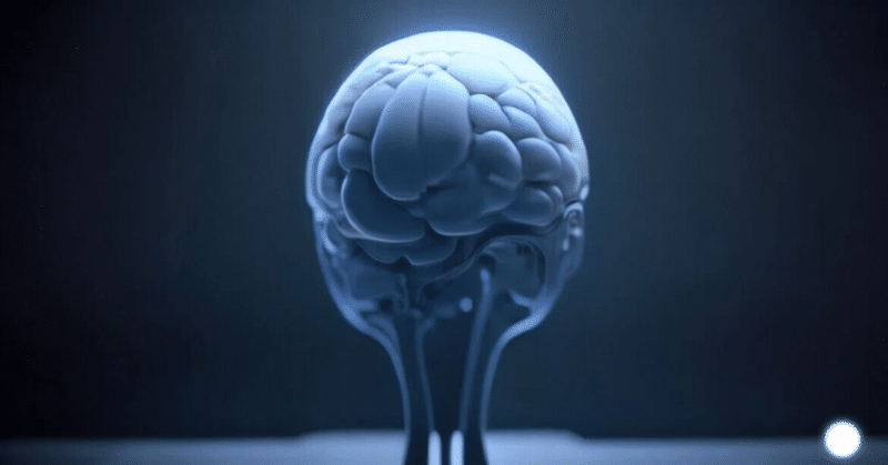 知能カースト社会の正体――能力主義が生んだ皮肉な格差構造