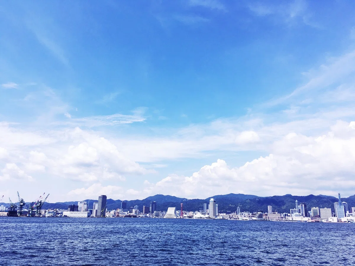 画像5