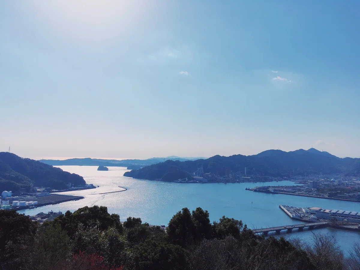 画像7