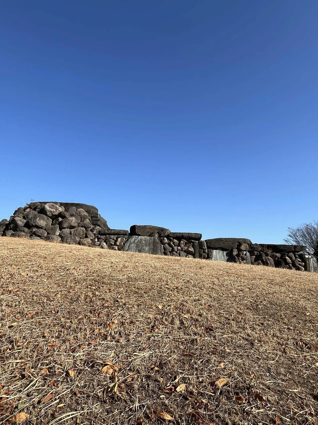 行田市(埼玉県)の終末期古墳をめぐる｜八幡山古墳・地蔵塚古墳・小見真