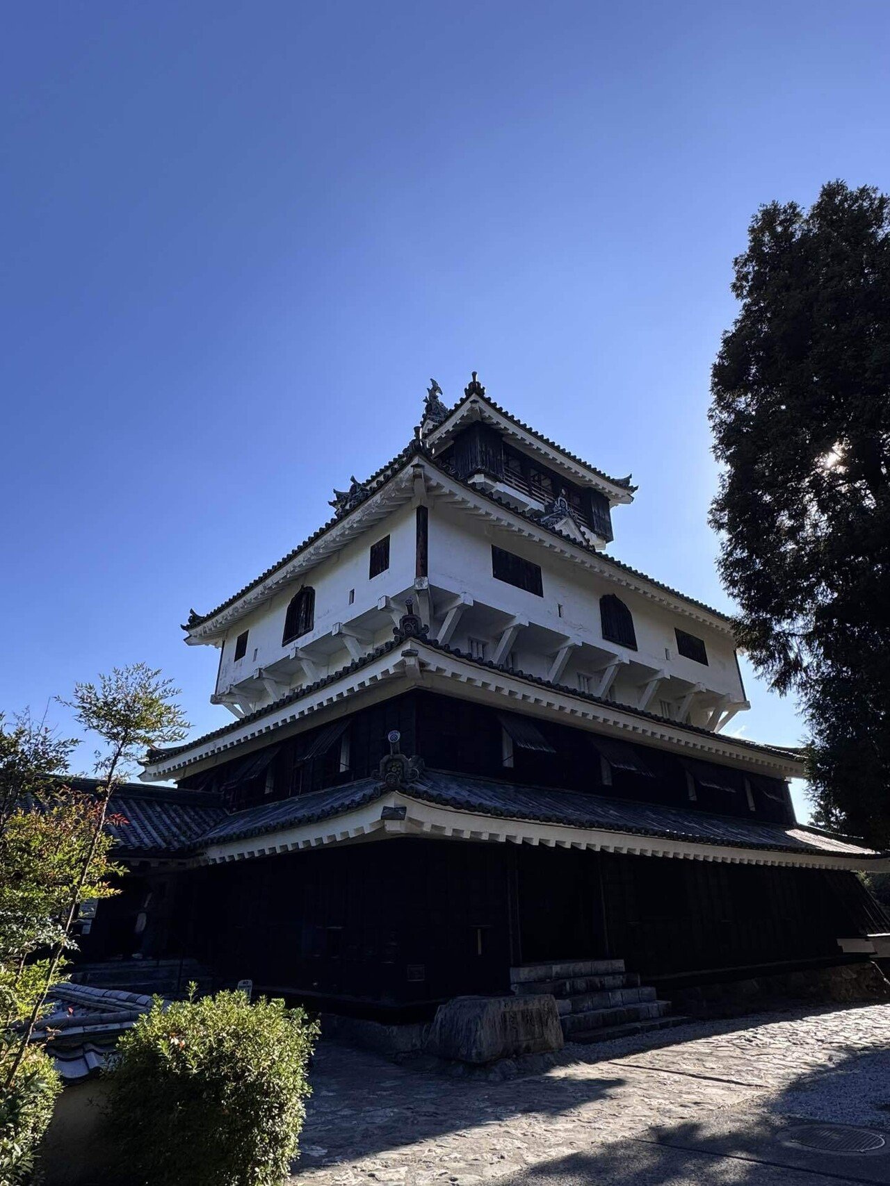 日本100名城 No.74 岩国城（山口）｜おみず。城と山