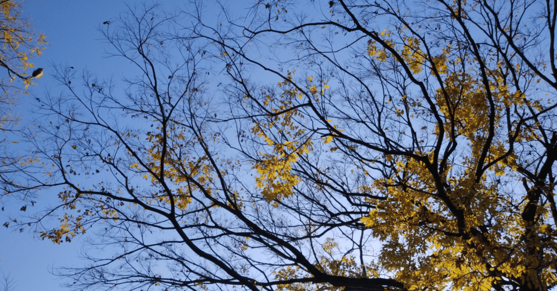 26 中内敏夫著作集Ⅰ～第2章～｜たつや