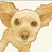 にゃゆ/作業療法士/発達