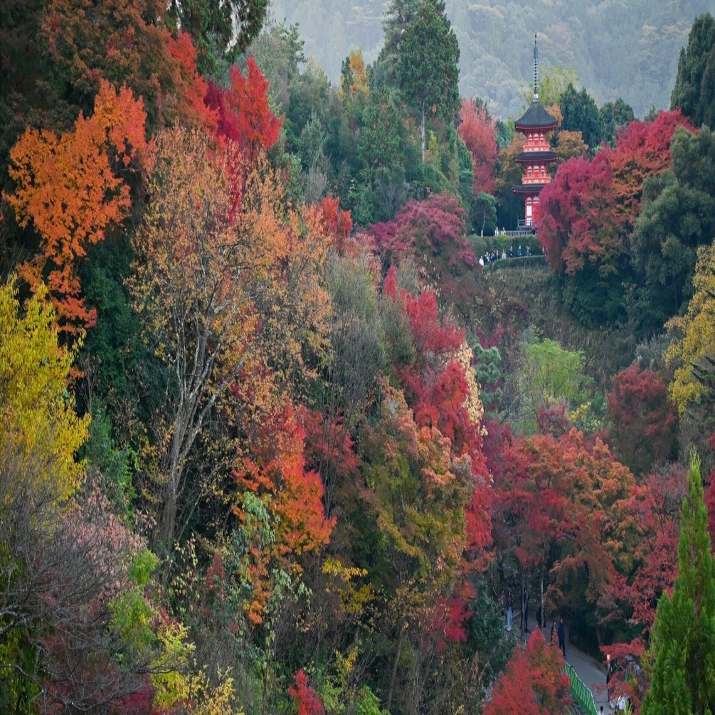 清水寺へ紅葉散歩（25.11.24）｜京都散歩記録