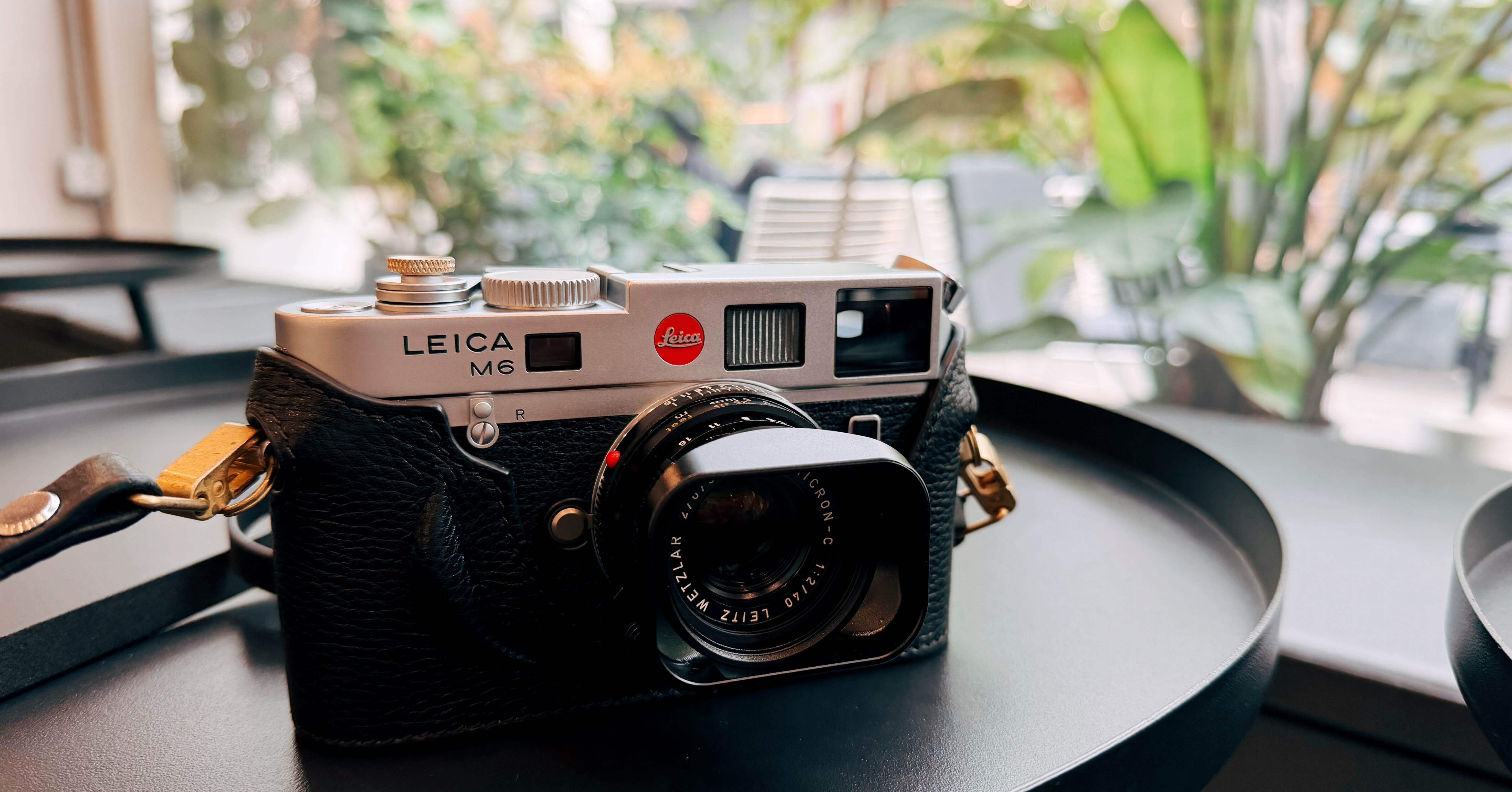 フィルムカメラを楽しむ秋の一日｜Leica M6｜beach_wave888