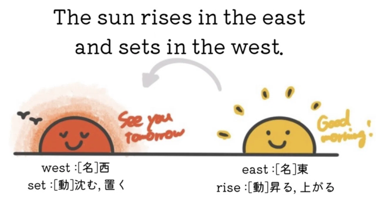 【イラスト英単語】The sun rises in the east and sets in the west.☀️｜綾柑｜英語イラスト