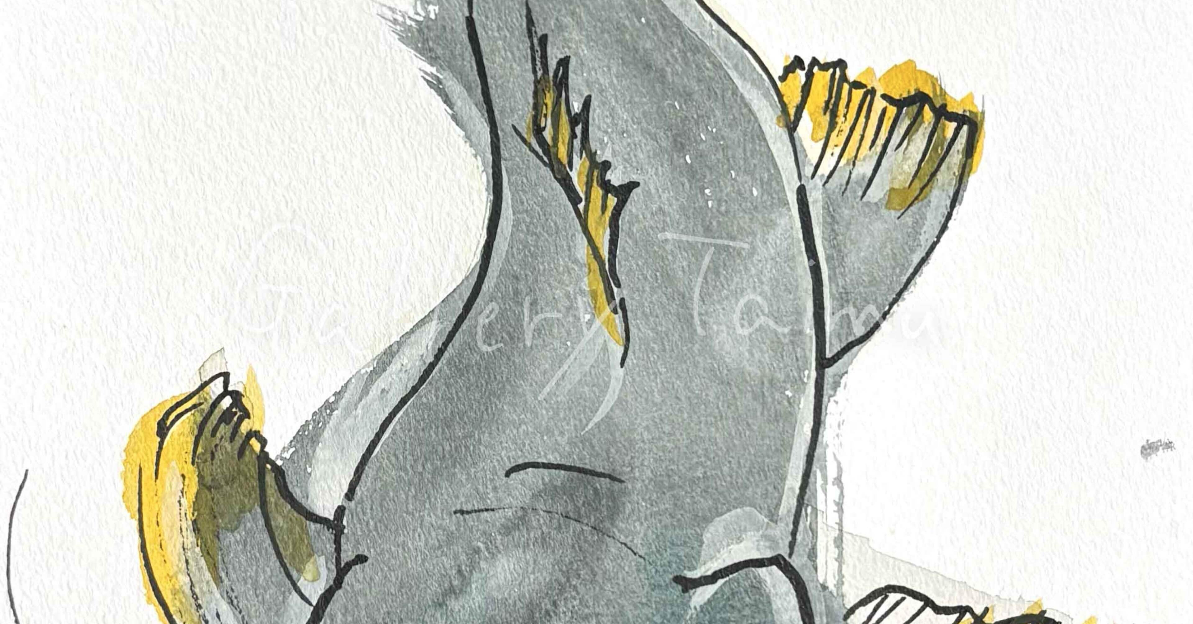 スケッチ ナマズ｜樹