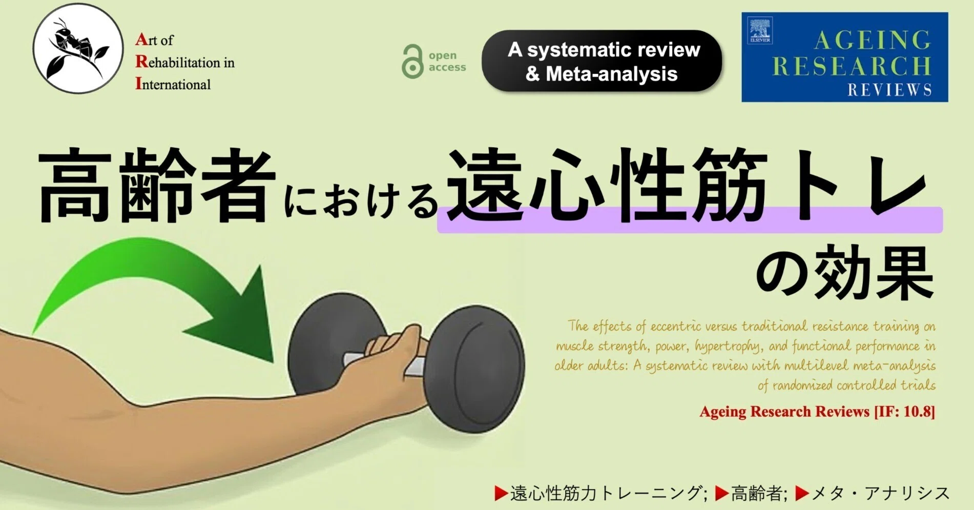 高齢者における遠心性筋トレの効果｜Super Human | 理学療法士／保健学