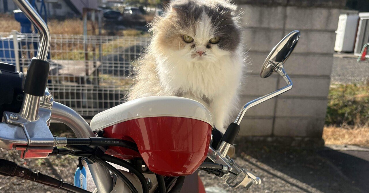 猫とバイク｜Nekonyanz