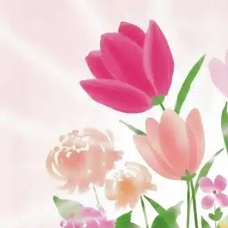 さくら