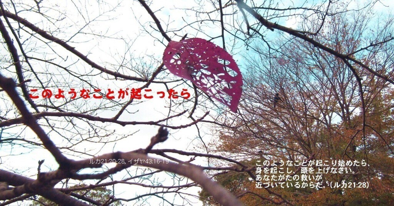 第25課 教師用資料：大管長会の継承と西部への旅, image size:1280x670