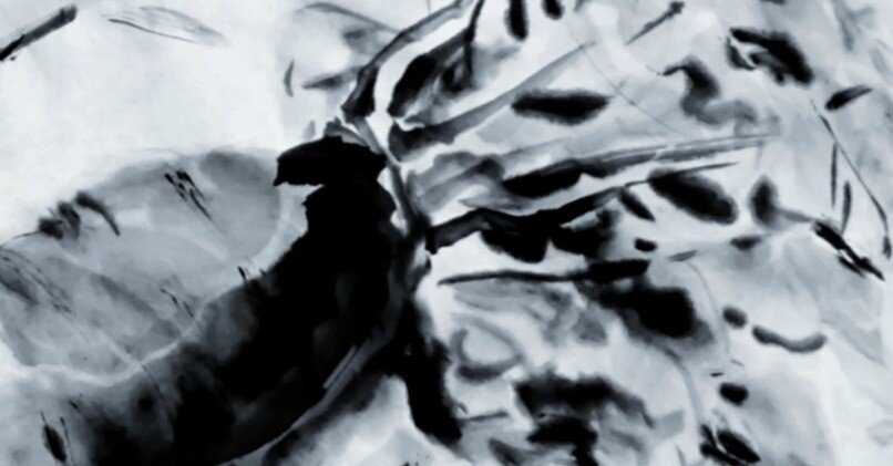 大根』水墨画｜せきぞう、