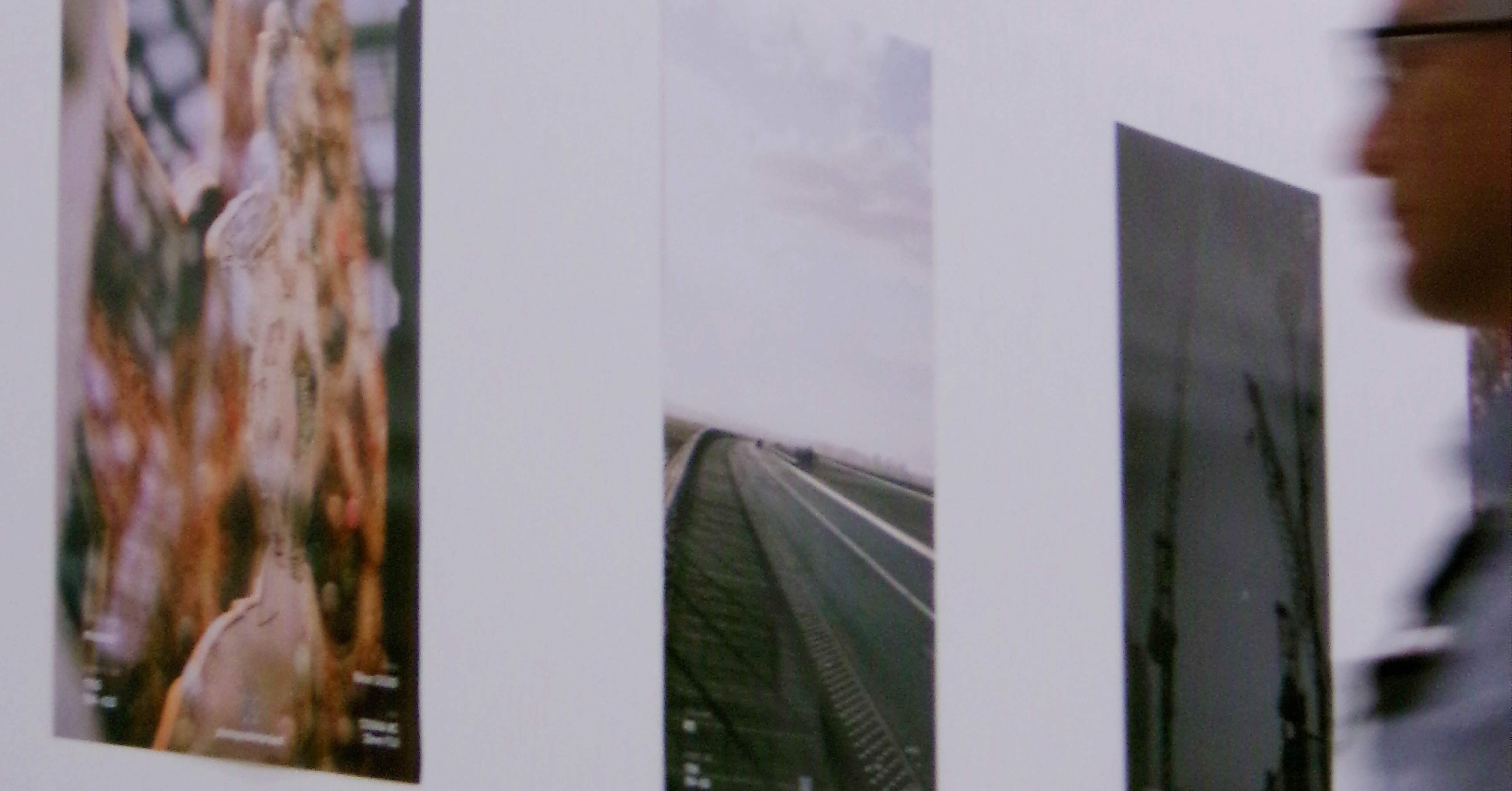 ポスターにしたい写真とは〜cizucuさんのpppに参加しました〜｜明悠