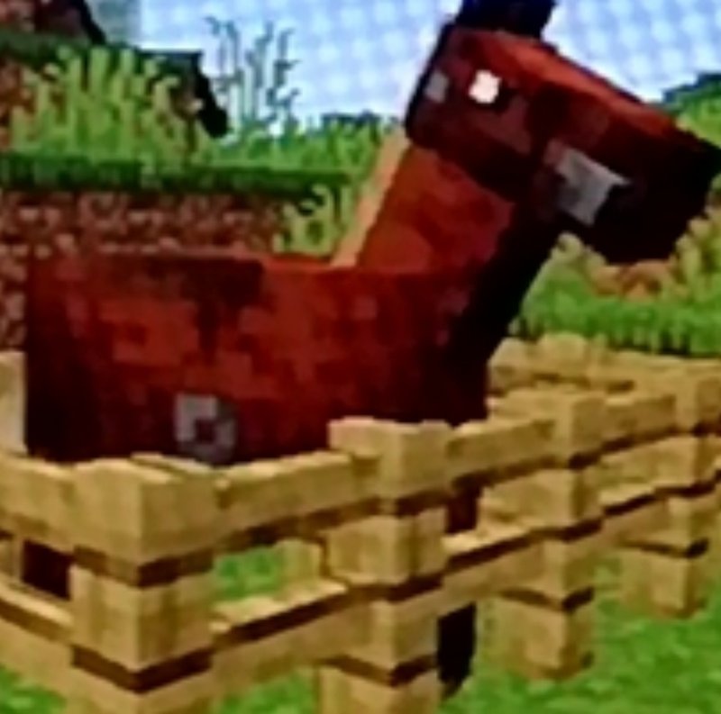 マイクラサバイバル日記 13 性能の良い馬探し アスナル総合館 Note マイクラサバイバル日記 13 性能の良い馬探し アスナル総合館 Note