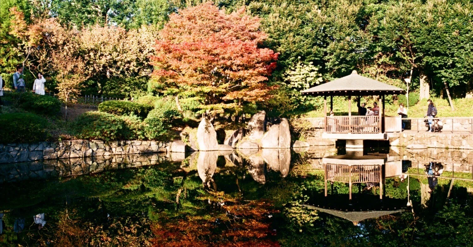 48．紅葉とOLYMPUS OM-1とG.ZUIKO Auto-W 35mm/F2.8＜レンズ＞｜神成